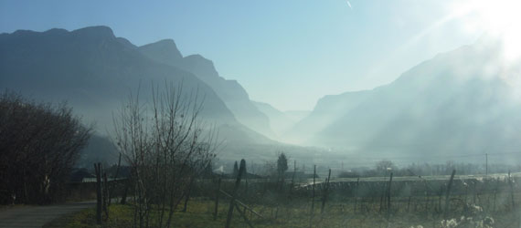 Indagini Ambientali Trentino