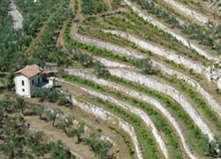 calcolo della portanza dei terreni