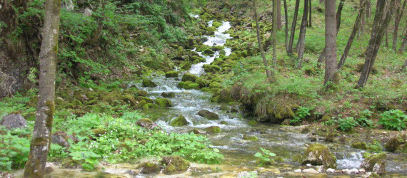 Geologia Geotecnica e Ambiente sorgenti acqua Trentino